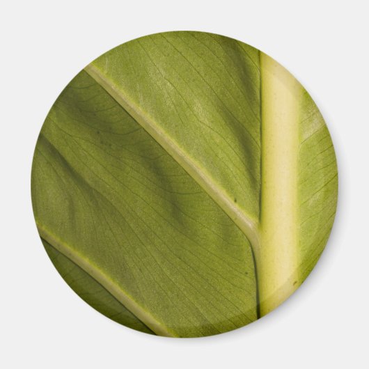 緑01 マグネット (正面)