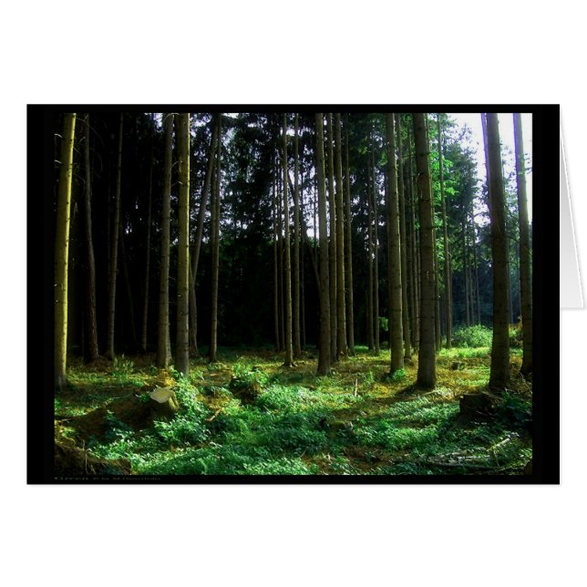 緑(カード) (正面横)