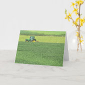 緑 カード (黄色い花)