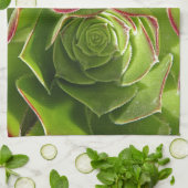 緑 キッチンタオル (折り畳み)