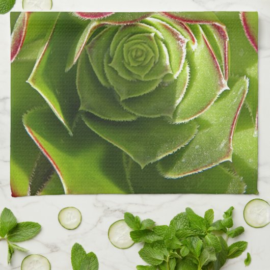 緑 キッチンタオル (折り畳み)