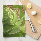 緑 キッチンタオル (四つ折り)