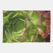 緑 キッチンタオル (横)