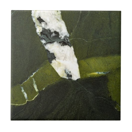 緑 タイル (正面)