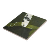 緑 タイル (側面)