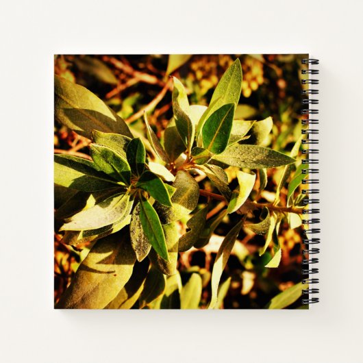 緑 ノートブック (裏面)