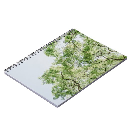 緑 ノートブック (左側)