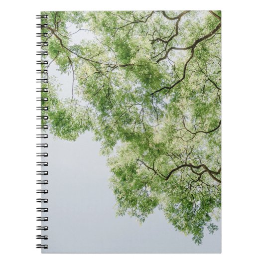 緑 ノートブック (正面)