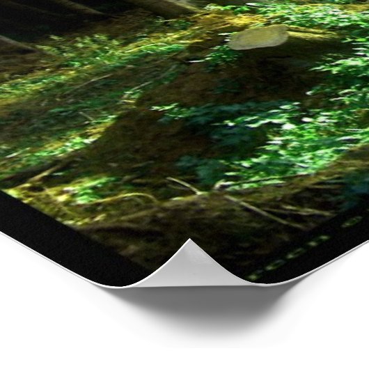 緑 ポスター (角)