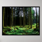 緑 ポスター (正面)