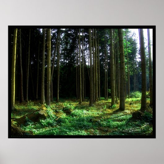 緑 ポスター (正面)