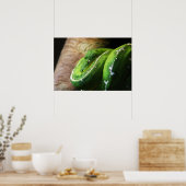 緑 ポスター (キッチン)