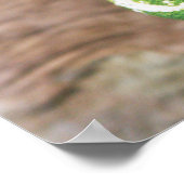 緑 ポスター (角)