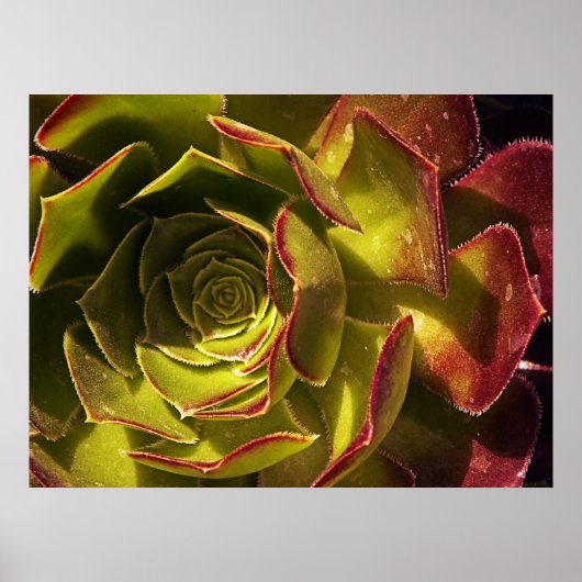 緑 ポスター (正面)