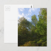 緑 ポストカード (正面/裏面)