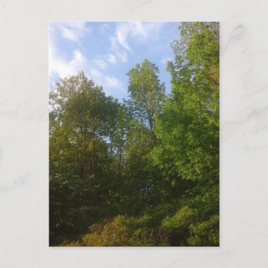 緑 ポストカード (正面)