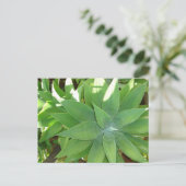 緑 ポストカード (スタンド正面)