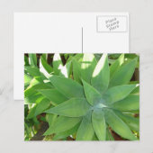 緑 ポストカード (正面/裏面)