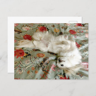 緑 ポストカード