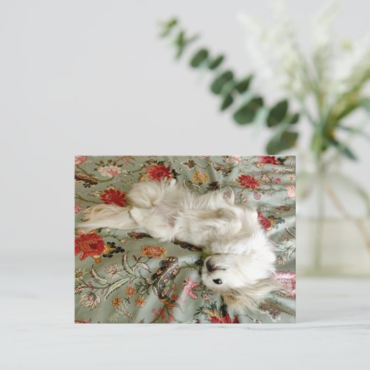 緑 ポストカード (スタンド正面)