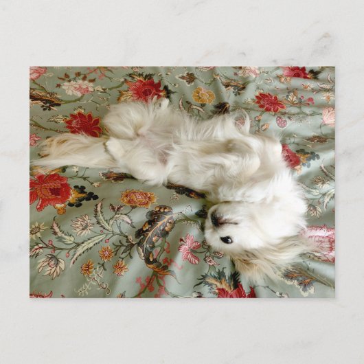 緑 ポストカード (正面)