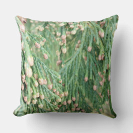 緑(光) アウトドアクッション