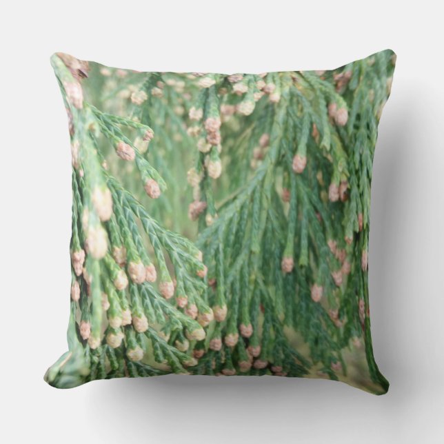 緑（光） アウトドアクッション (正面)