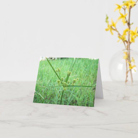 緑、緑の草 カード (黄色い花)
