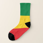 緑、金（黄色）と赤の色の旗 ソックス (左外側)