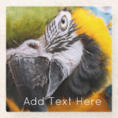 緑、青、黄色のマカオウム ガラスコースター (正面)