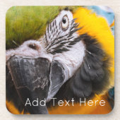 緑、青、黄色のマカオウム コースター (正面)