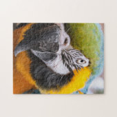 緑、青、黄色のマカオウム ジグソーパズル (横)