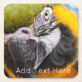 緑、青、黄色のマカオウム スクエアペーパーコースター (正面)