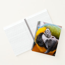 緑、青、黄色のマカオウム ノートブック