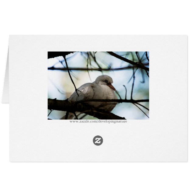 線マスター (裏面横)