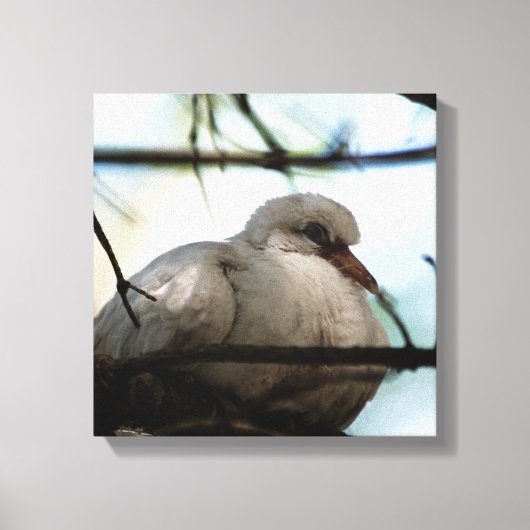 線マスター キャンバスプリント (正面)