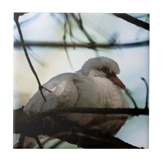 線マスター タイル (正面)