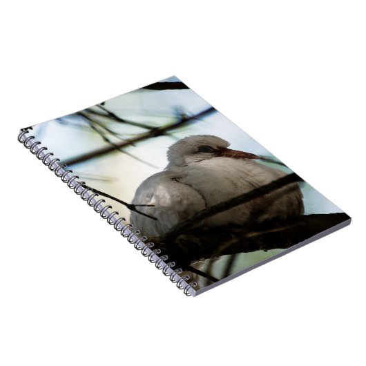 線マスター ノートブック (右側)