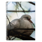 線マスター ノートブック (正面)