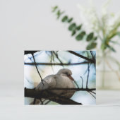 線マスター ポストカード (スタンド正面)