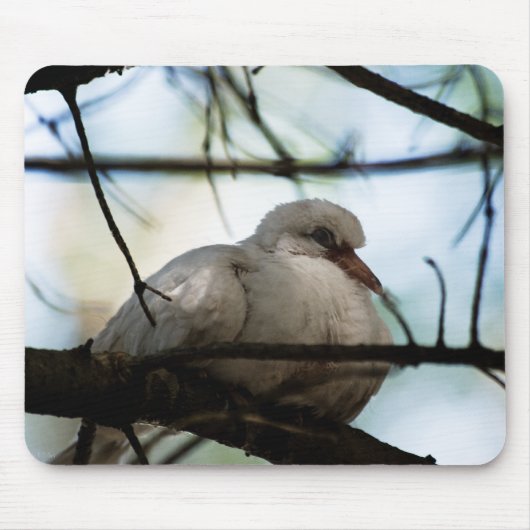 線マスター マウスパッド (正面)