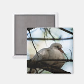 線マスター マグネット (正面/裏面)