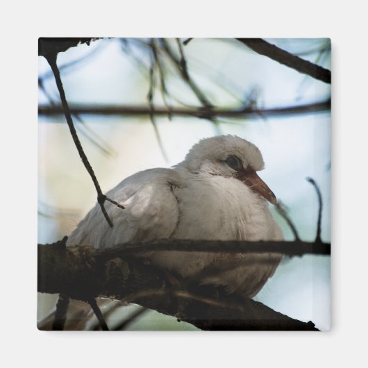 線マスター マグネット (正面)