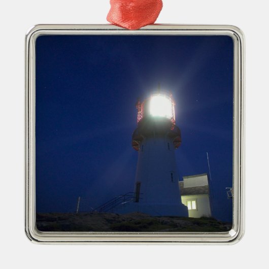 線分はfyr、最も南の北の点3 メタルオーナメント (正面)