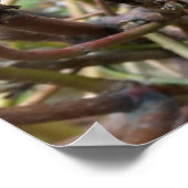 線条付きモミ ポスター (角)