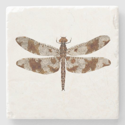 線条細工のスキマーのトンボ ストーンコースター (正面)
