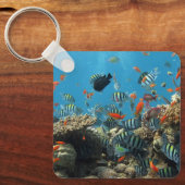 線条虫熱帯魚コーラルカオス キーホルダー (正面)