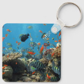 線条虫熱帯魚コーラルカオス キーホルダー (裏面)