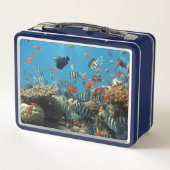 線条虫熱帯魚コーラルカオス メタルランチボックス (裏面)