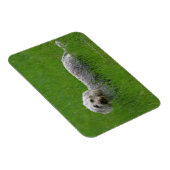 線毛の標準ダックシュントinグラス マグネット (右側)